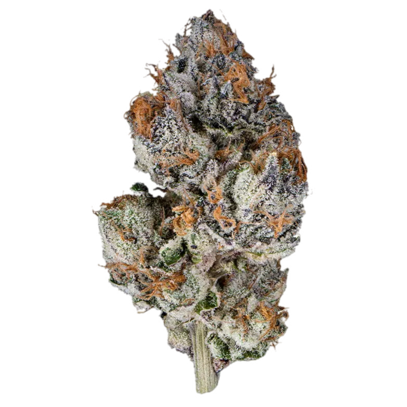Lemon Pastries THCa